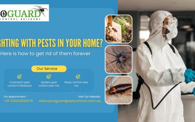 Fighting with pests in your home? Here is how to get rid of them forever 