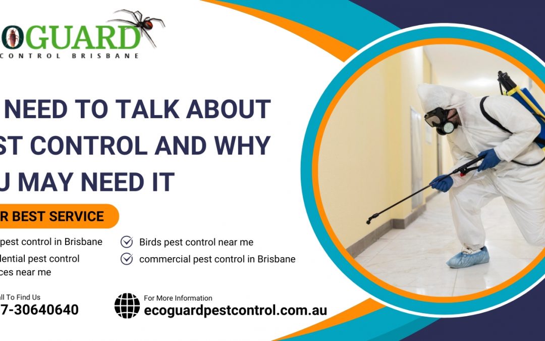 We need to talk about pest control and why you may need it