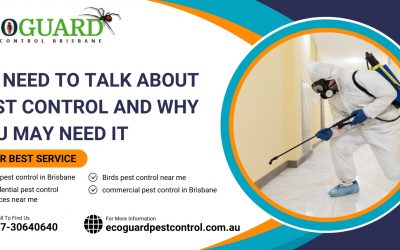 We need to talk about pest control and why you may need it