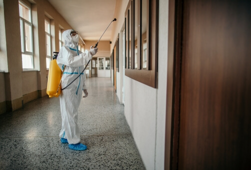 Dangers Of Pests in Schools and Educational Institutions