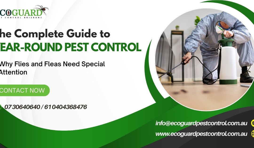 The Complete Guide to Year-Round Pest Control: Why Flies and Fleas Need Special Attention