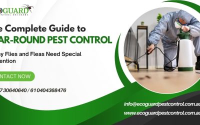 The Complete Guide to Year-Round Pest Control: Why Flies and Fleas Need Special Attention