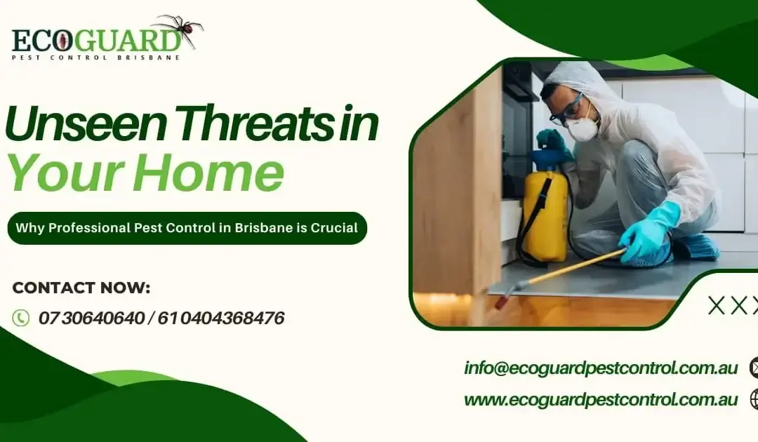 Unseen Threats in Your Home: Why Professional Pest Control in Brisbane is Crucial