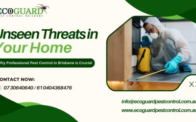 Unseen Threats in Your Home: Why Professional Pest Control in Brisbane is Crucial