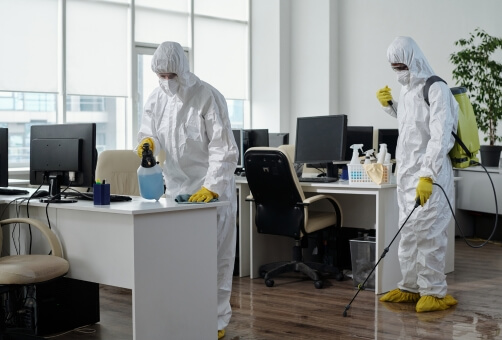 Pest Management for Offices in Brisbane