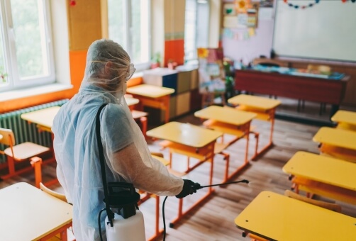 School Pest Management Services in Brisbane