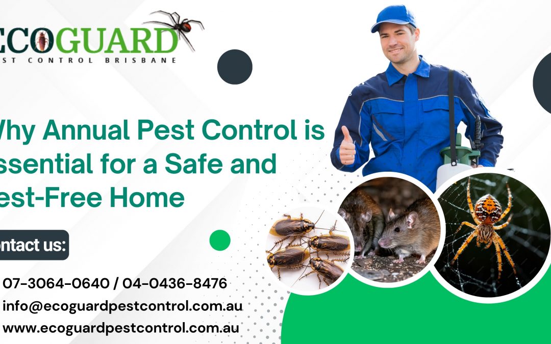 Why Annual Pest Control is Essential for a Safe and Pest-Free Home