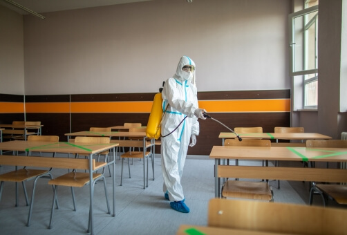 Why Choose Eco Guard Pest Management Brisbane for Schools Pest Management Brisbane?