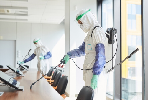 Why Choose Office Pest Management Company Brisbane