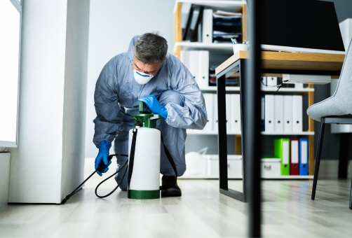 Why Should You Choose Eco Guard Pest Management Brisbane for Office Pest Management Brisbane