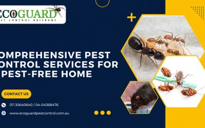 Comprehensive Pest Control Services for a Pest-Free Home