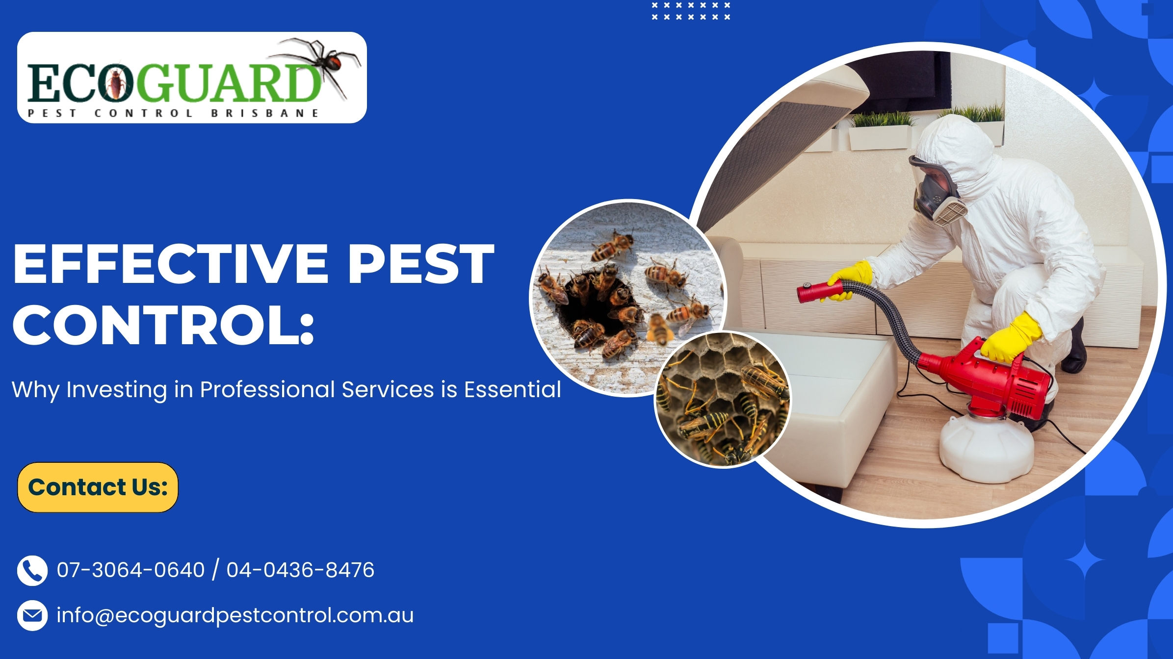 Effective Pest Control: Why Investing in Professional Services is Essential