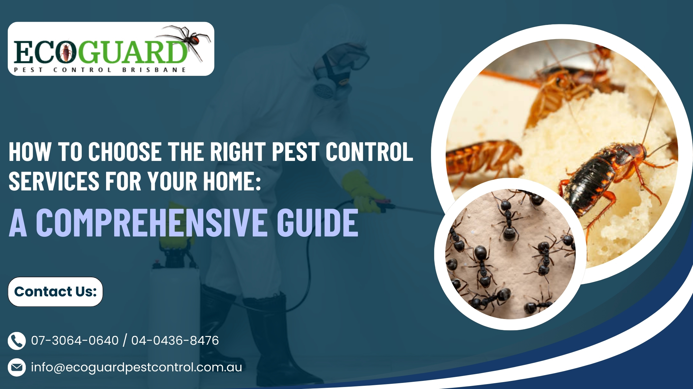 How to Choose the Right Pest Control Services for Your Home: A Comprehensive Guide