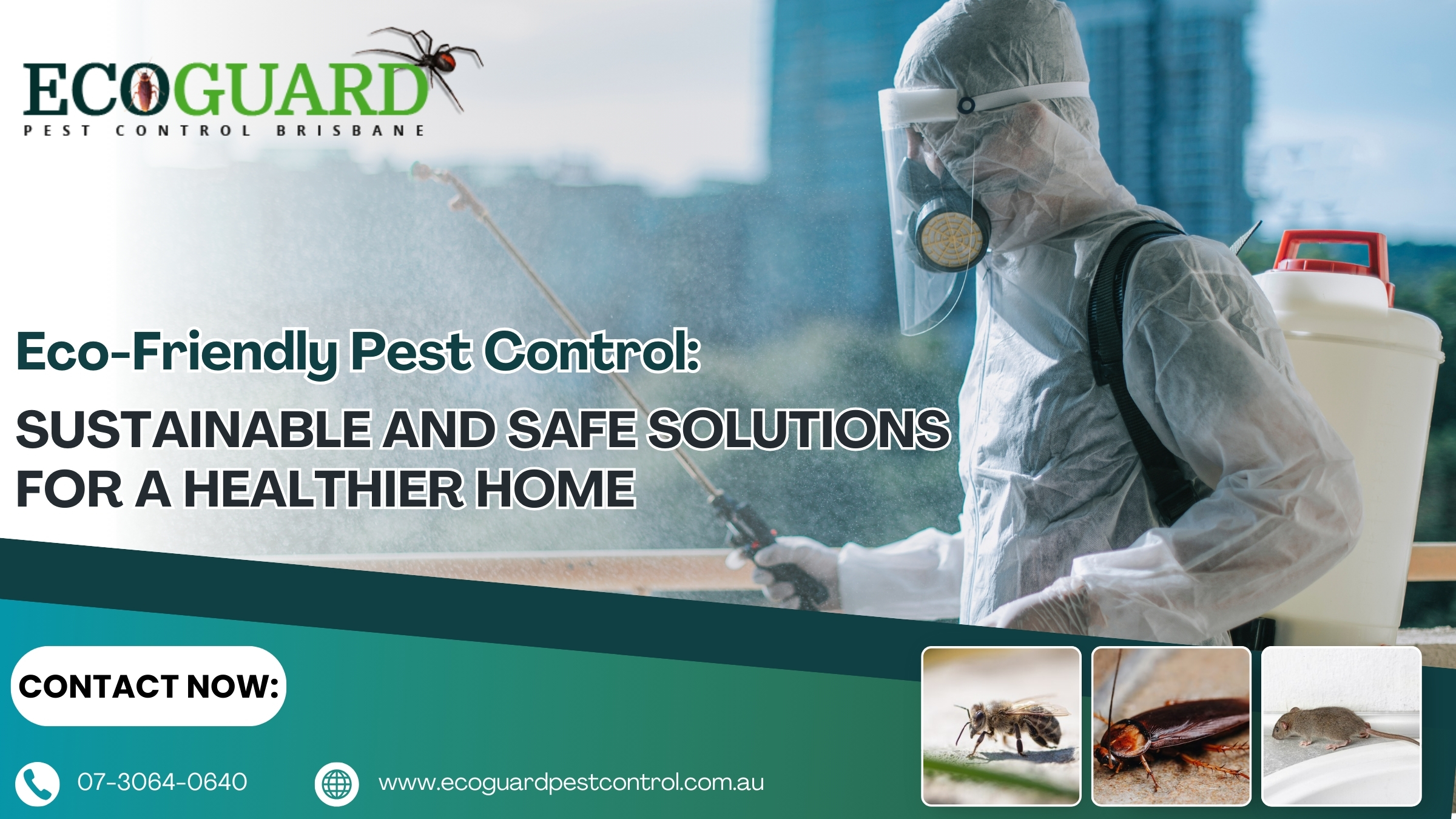 Eco-Friendly Pest Control: Sustainable and Safe Solutions for a Healthier Home