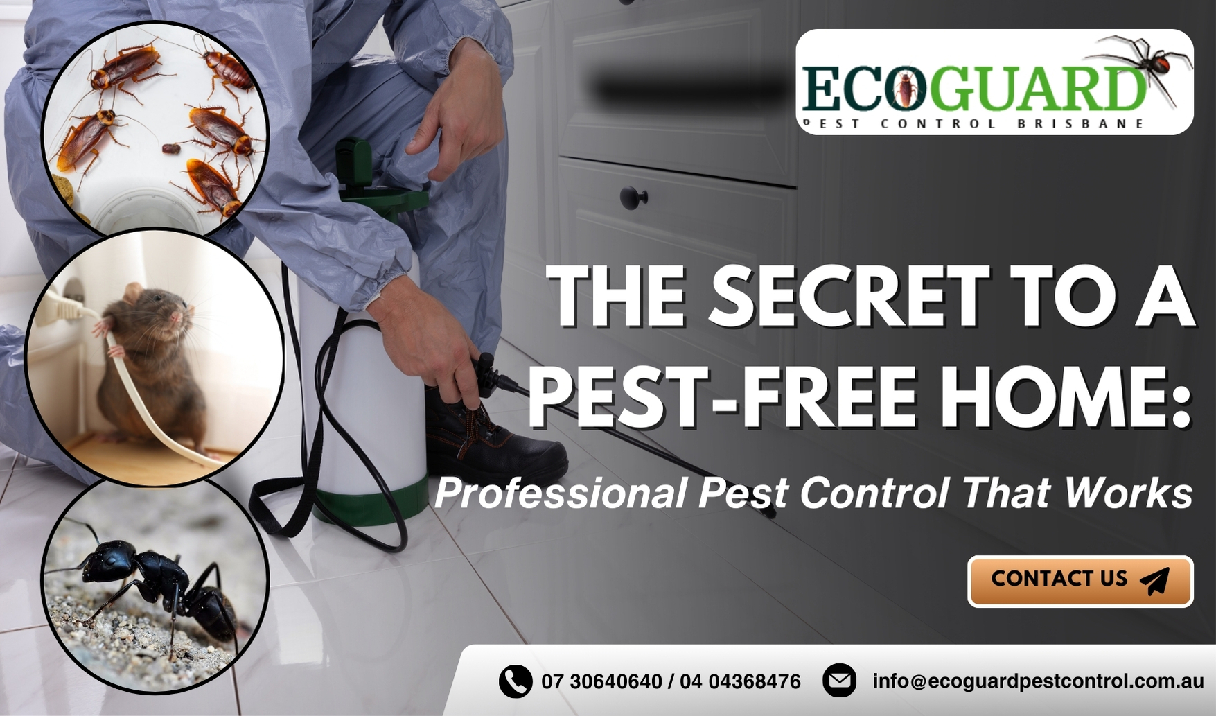 The Secret to a Pest-Free Home: Professional Pest Control That Works