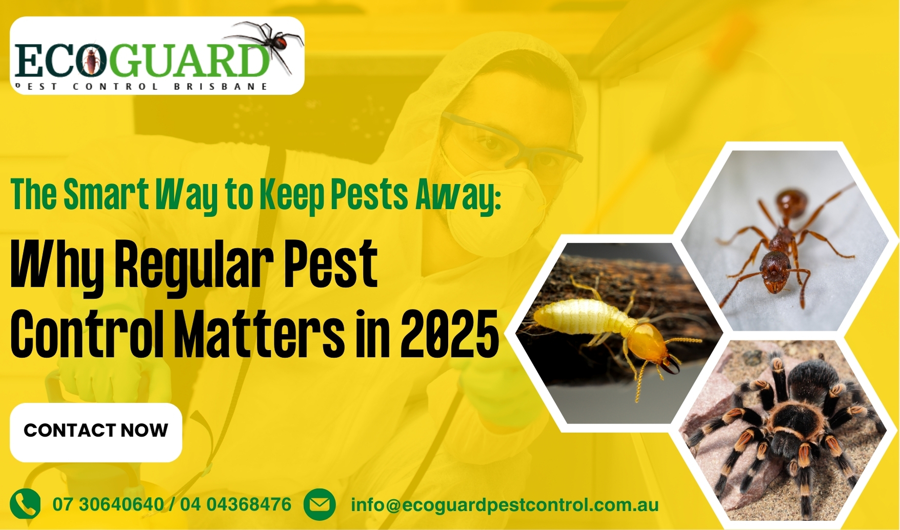 The Smart Way to Keep Pests Away: Why Regular Pest Control Matters in 2025