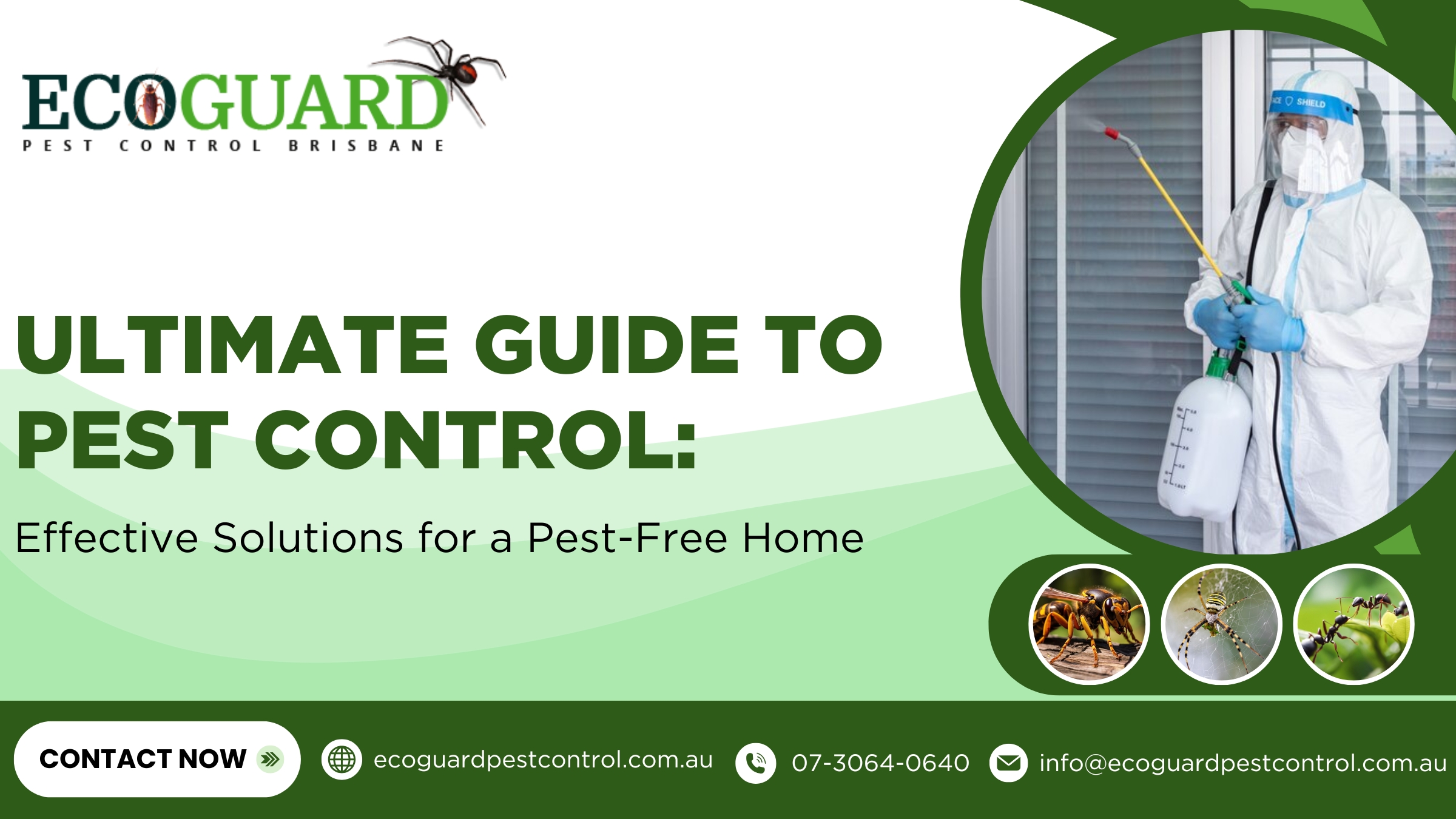 Ultimate Guide to Pest Control: Effective Solutions for a Pest-Free Home