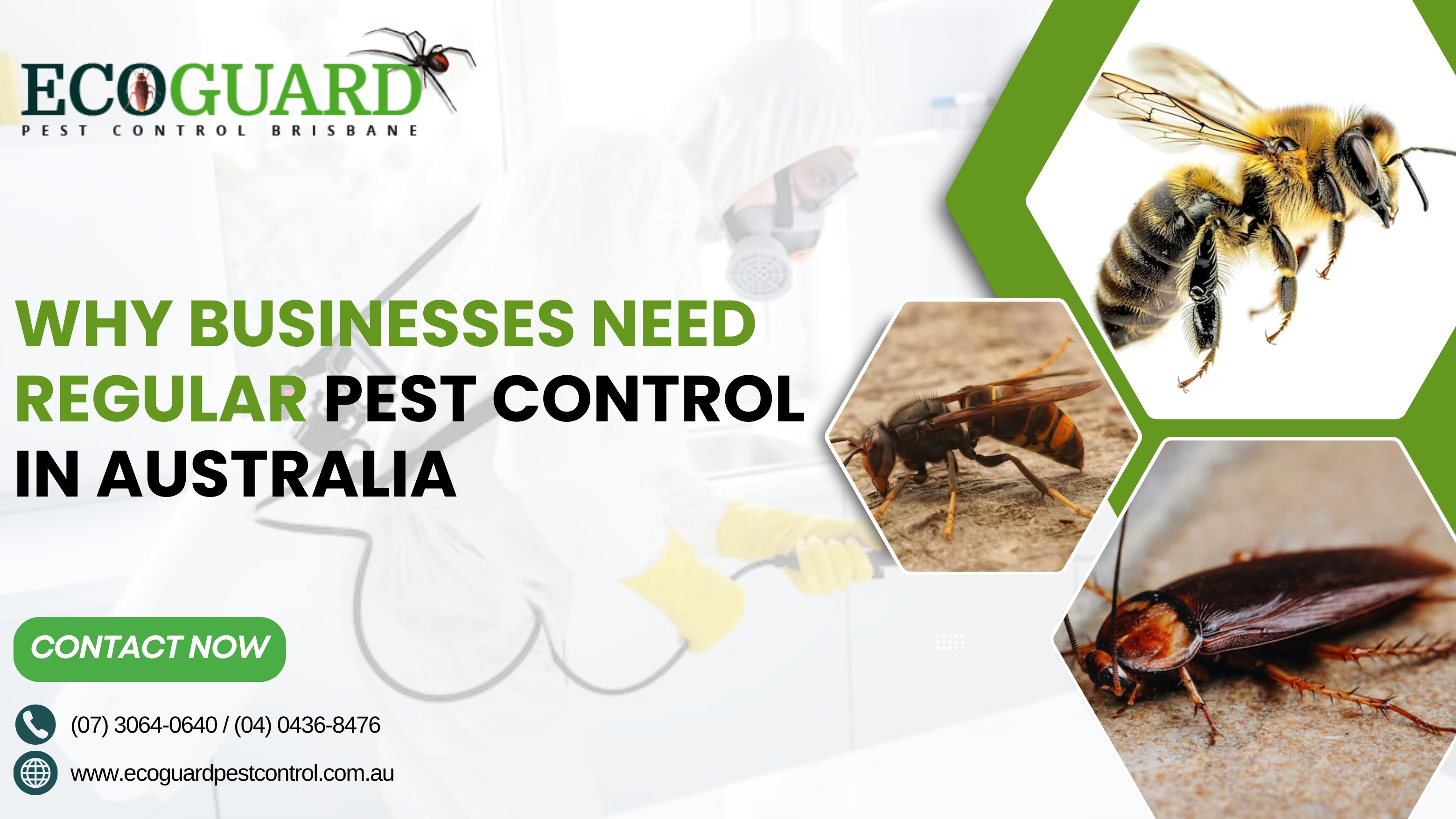 Why Businesses Need Regular Pest Control in Australia